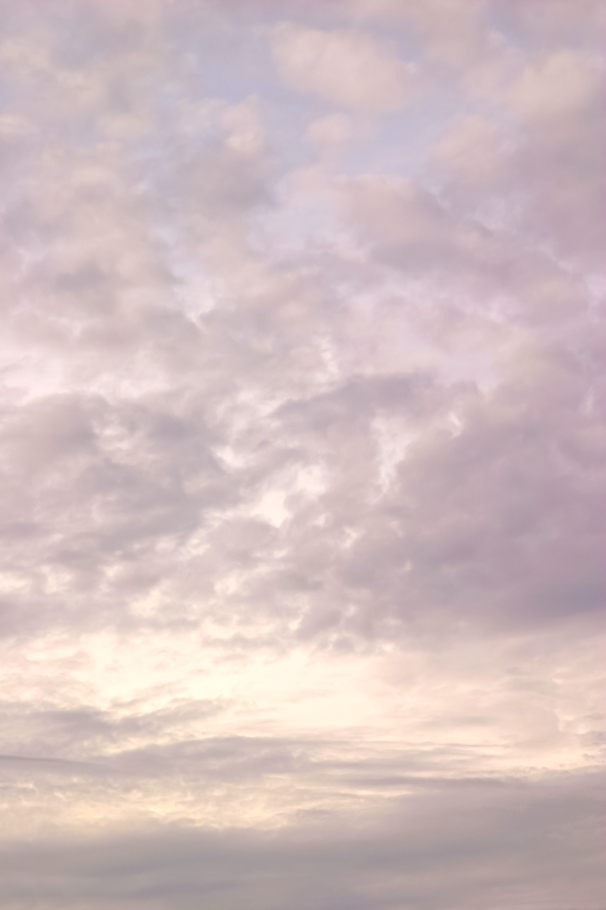 これまでで最高の空 ピンク 最高の花の画像